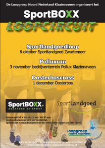 flyersportboxx2013